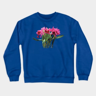 Orchid Chorus Line Crewneck Sweatshirt